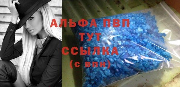 индика Нефтегорск