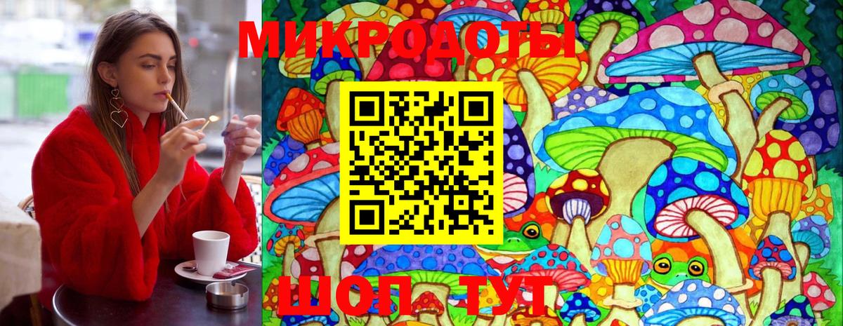 Галлюциногенные грибы Psilocybine cubensis Екатеринбург
