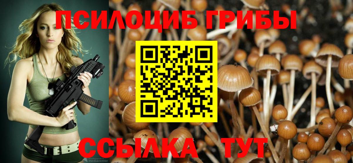 наркошоп  Екатеринбург  Псилоцибиновые грибы GOLDEN TEACHER 