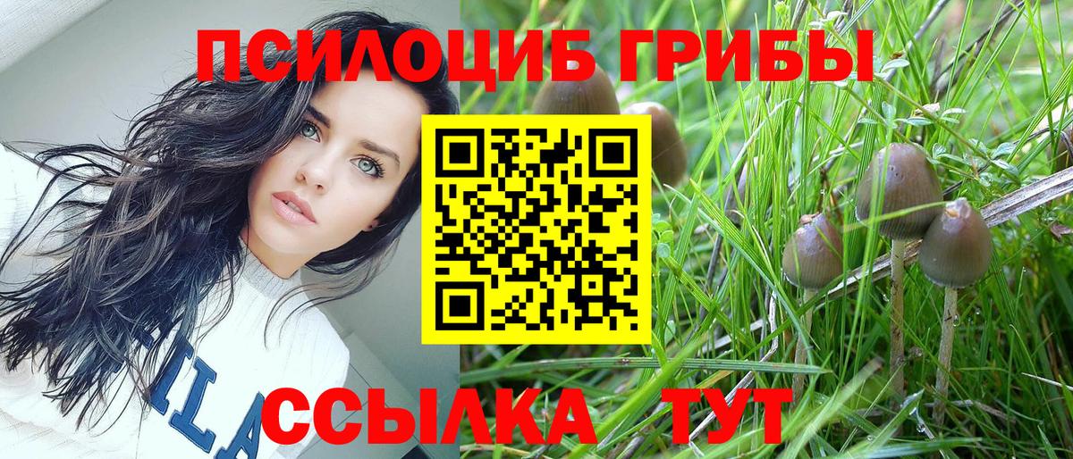 Псилоцибиновые грибы Cubensis  купить   Галлюциногенные грибы Psilocybine cubensis  Екатеринбург  Вход с VPN 